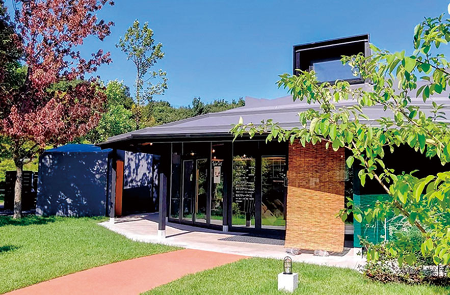 オバッタベッタ レストランマメボシ